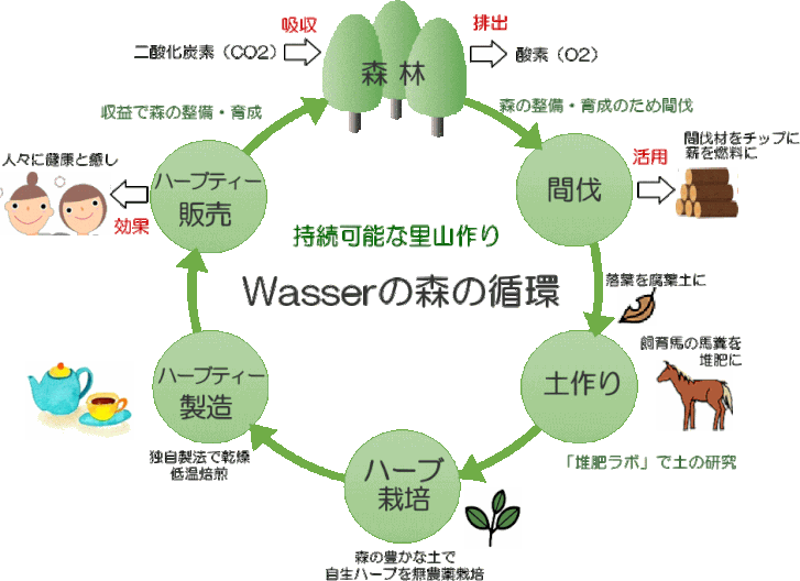 Wasserの森の資源活用と循環