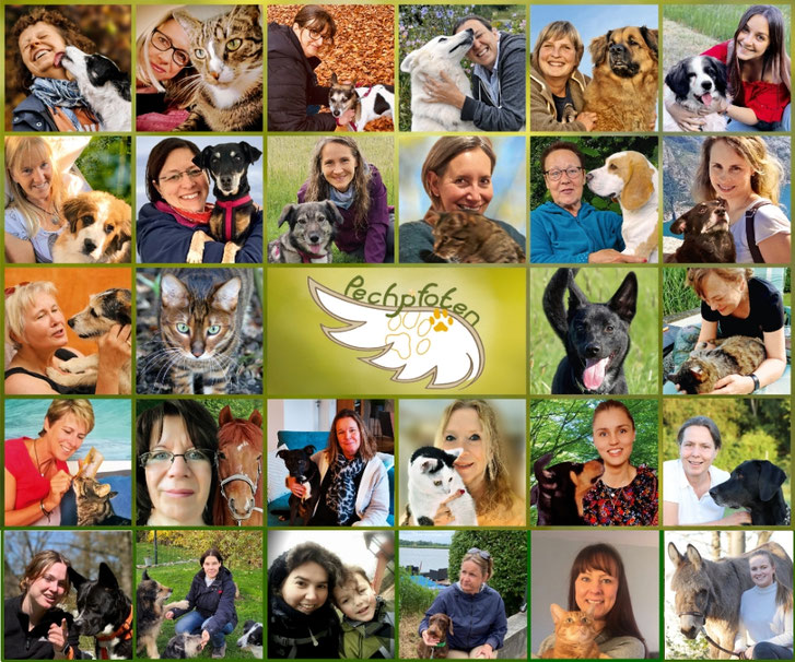 Team-Collage der aktiven Helfer bei Pechpfoten e.V.