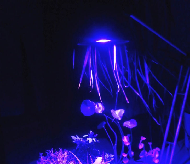 Avatar Pandora Diorama UV light source