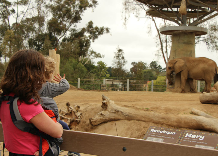 San Diego Zoo with Baby and Toddler