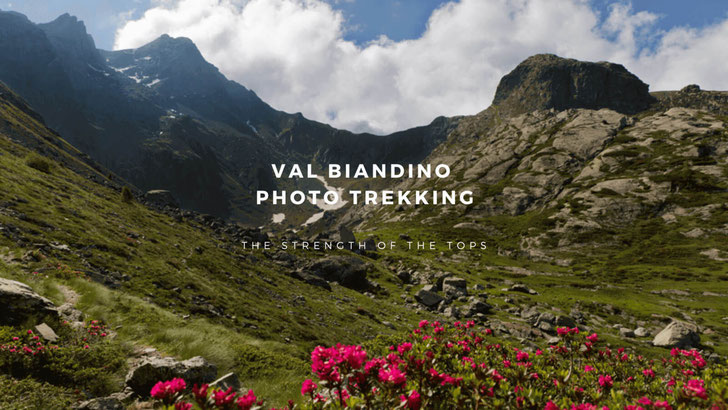 Photo of Val Biandino with Pizzo dei Tre Signori and blooming rhododendrons