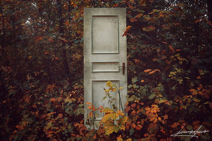 Doors fine art prints