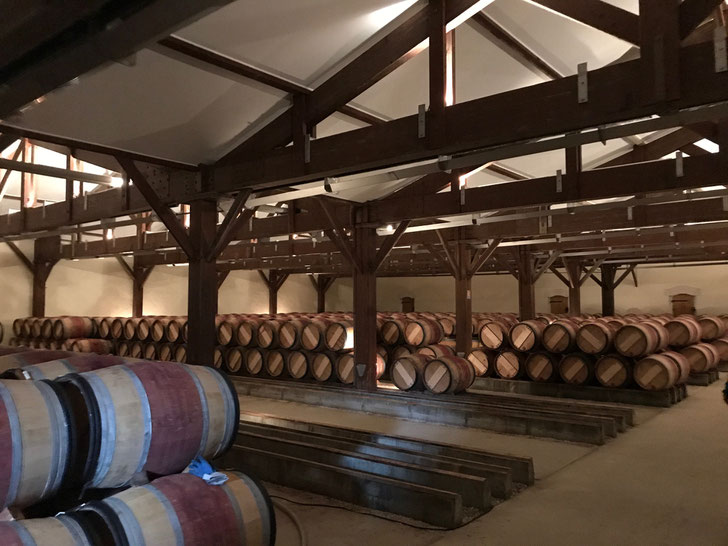 Working in the barrel hall - transferring 2015 vintage, draining and cleaning barrels