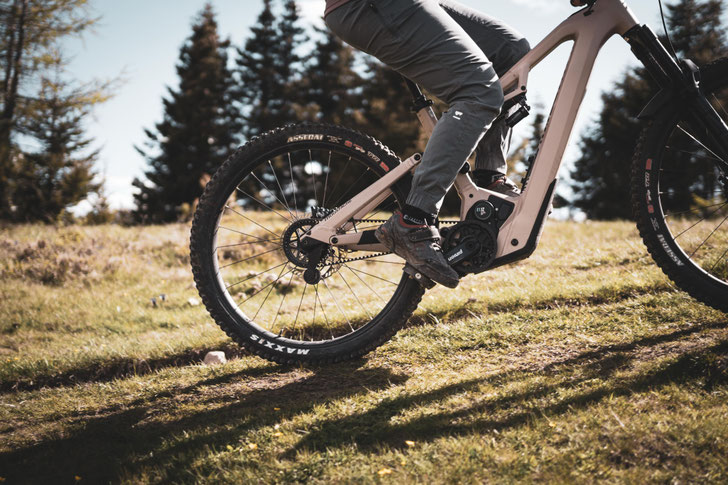 Pinion X Moustache - Gemeinsamer Workshop beim VSF Handelsdialog 2025 ©