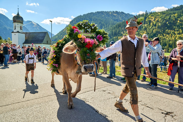 Almabtrieb im Tannheimer Tal © TVB Tannheimer Tal, Achim Meurer