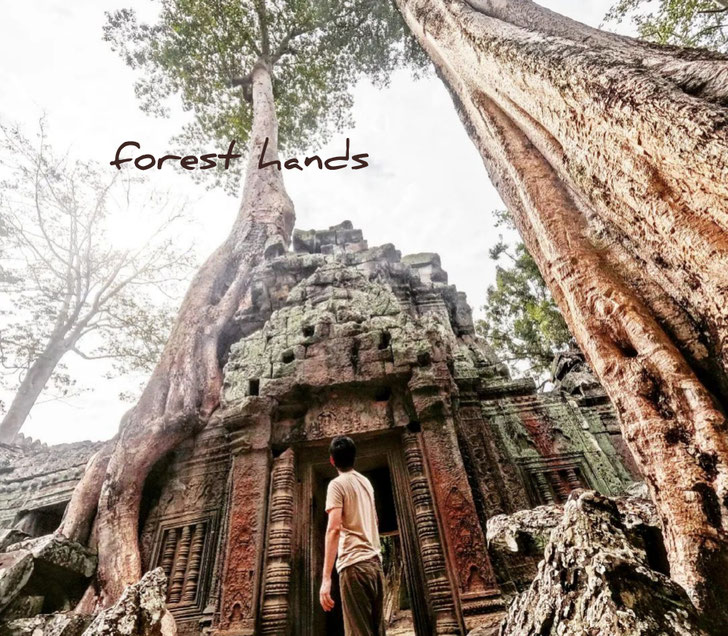 大阪のメンズアロマトリートメントサロンforest hands（フォレストハンズ）オーナーセラピスト徹平のイメージ写真