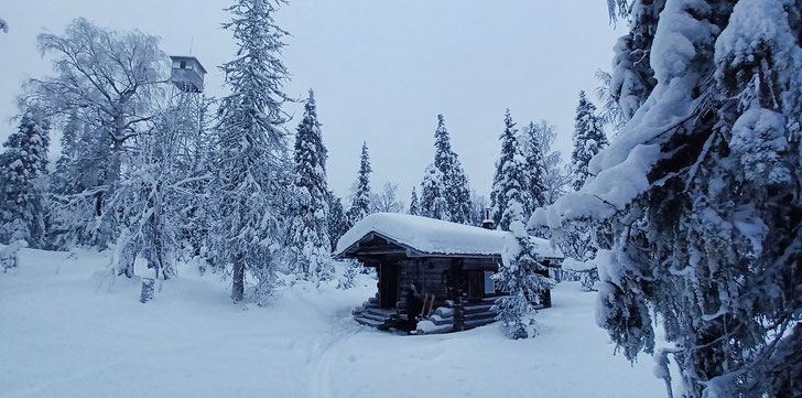 In Finnish Lapland there are plenty of free cabins. Picture: Polarguide and Logistics