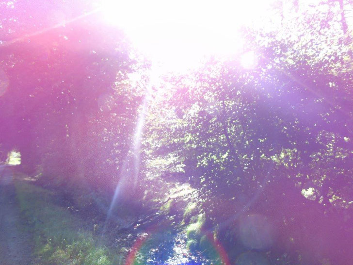 Liebesschwingungen, wwwlichtwesenfotografie.com