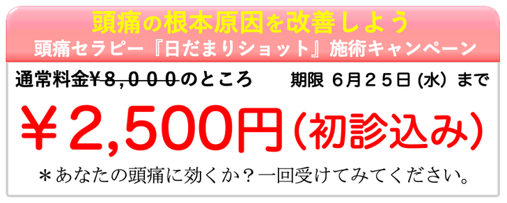 初回８０００円のところ特別キャンペーン２５００円