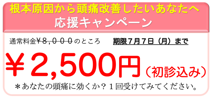 初回８０００円のところ特別キャンペーン２５００円