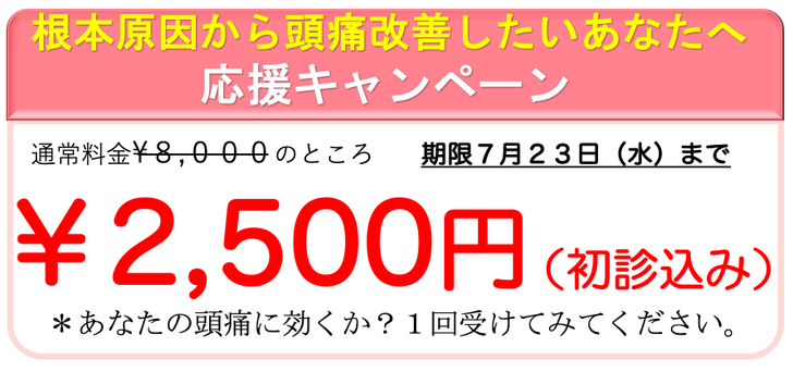初回８０００円のところ特別キャンペーン２５００円