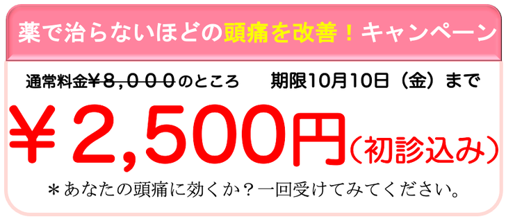 初回８０００円のところ特別キャンペーン２５００円