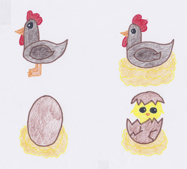 Verhaal Kip legt een ei De website van jufagame!