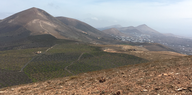 Mittwoch, 17.5.2017, Blick von Montaña Tinasoria (603 m) auf Montaña Gurdilama (603 m) und La Asomada 