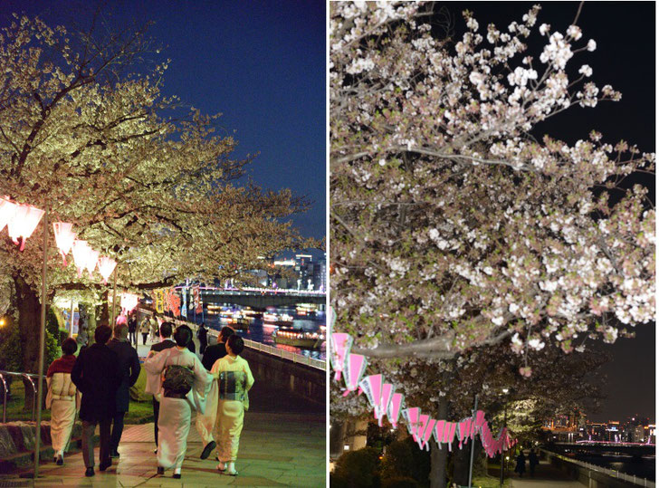 墨堤の桜、隅田川に浮かぶ屋形船。芸者衆も繰り出す華やかな風景は、今年は見られない。