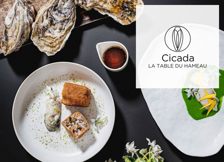 Springtime menu of Stephan Paroche from Cicada, the table of Hameau des Baux