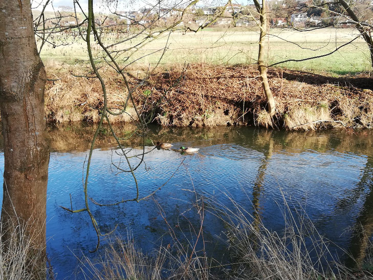Kraftquelle, Neuanfang, Neubeginn, Wochenlieblinge, Wochenrückblick, Wintertraum, Winterlandschaft, Auszeit in der Natur, Kraft tanken, Kraftort, Kraftplatz