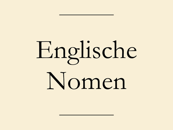 Nomen Englisch