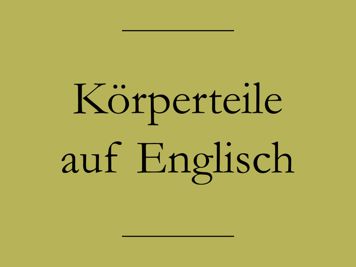 Körperteile auf Englisch