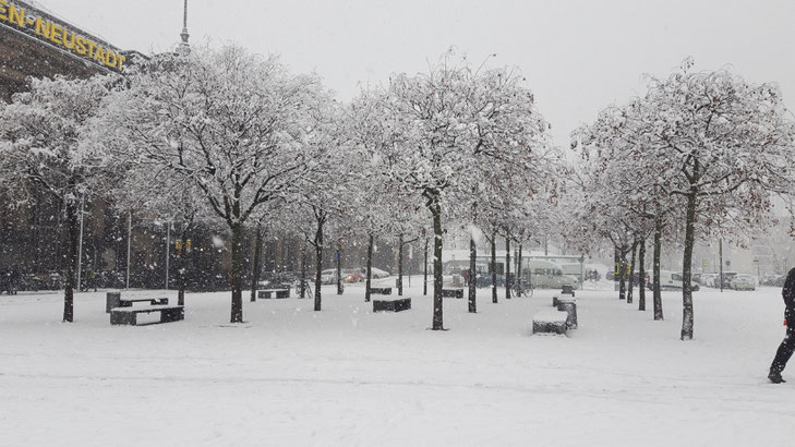 Alterntive Tour in Winter through Dresden Neustadt