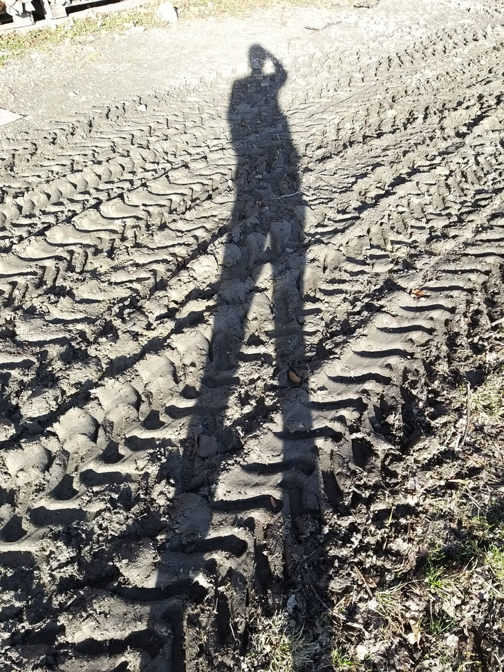 lange Tage werfen lange Schatten