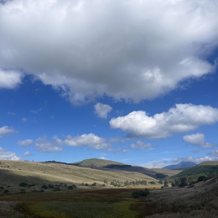 霧ヶ峰高原　海外のクライアント　木造　別荘