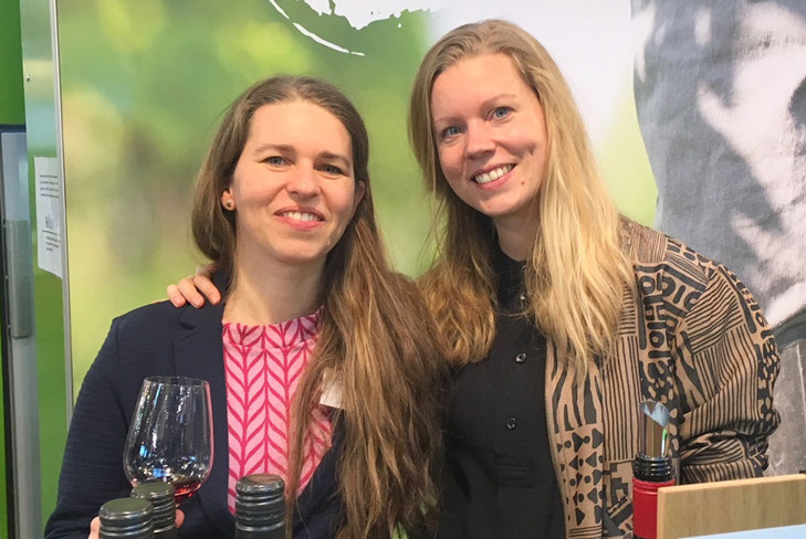 mein-wein-im-fruehling