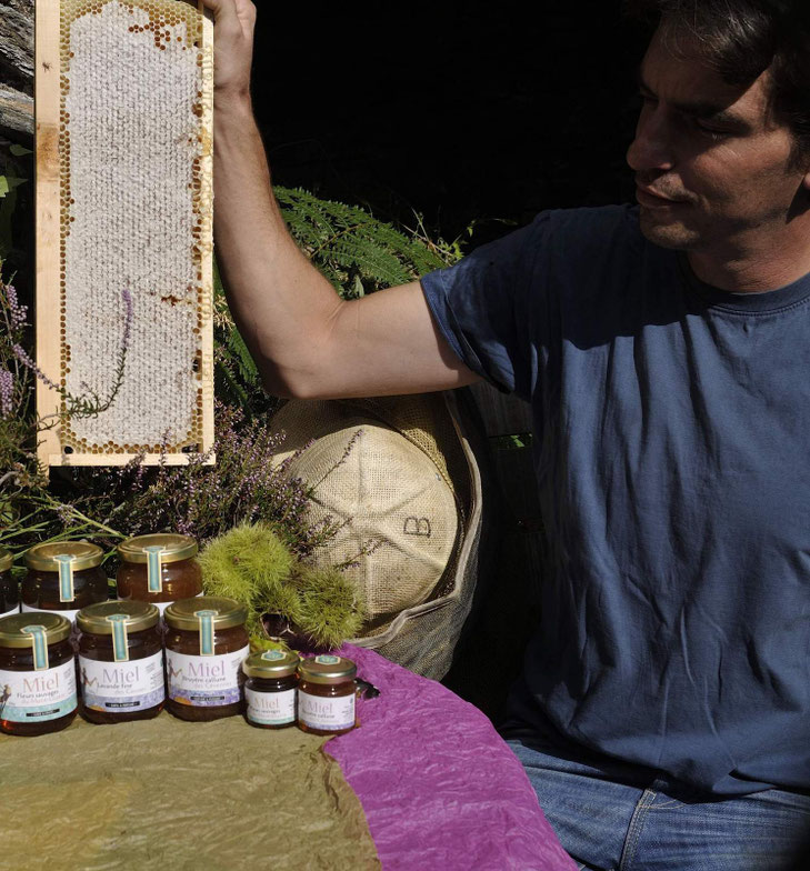 Bastien ALISE apiculteur producteur de miel dans les Cevennes en Lozère