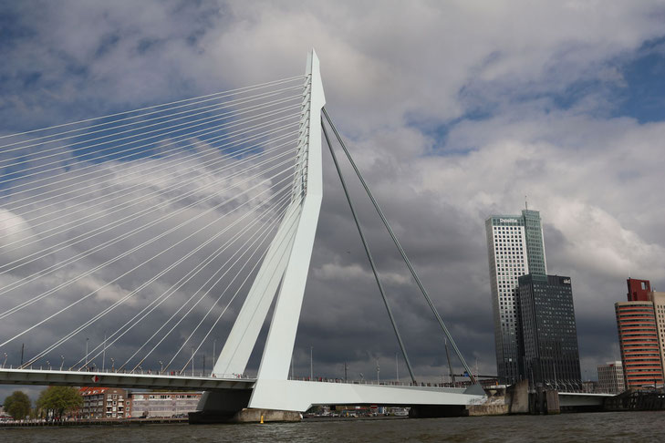 Asymmetrische Schrägseilbrücke "Erasmusbrücke" im Hafengebiet von Rotterdam, Niederlande mit Hochhäusern im rechten Bildhintergrund und wolkig-blauem Himmel © My own Travel - Niederlande & Belgien Genussreise