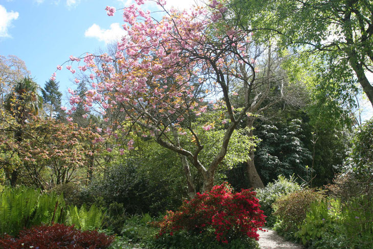 romantischer Mount Usher Gardens mit blühenden Pflanzen ©My own Travel