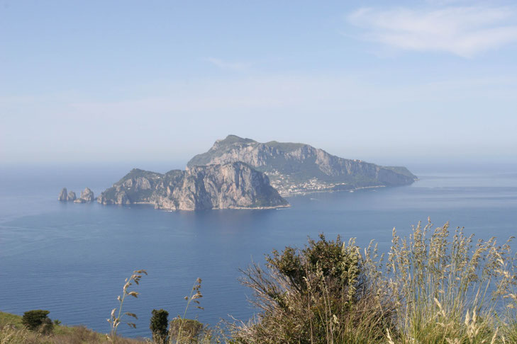 Blick auf Capri