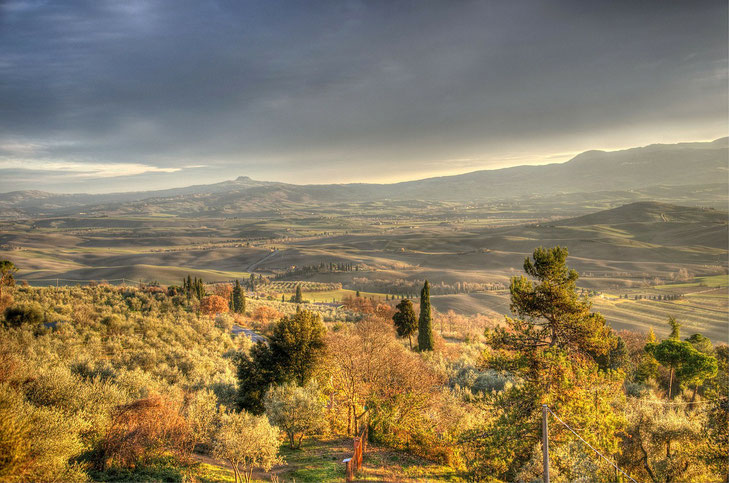 Blick ins Val d'Orcia