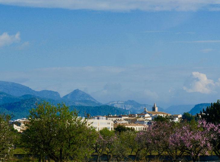 Mallorca Impressionen
