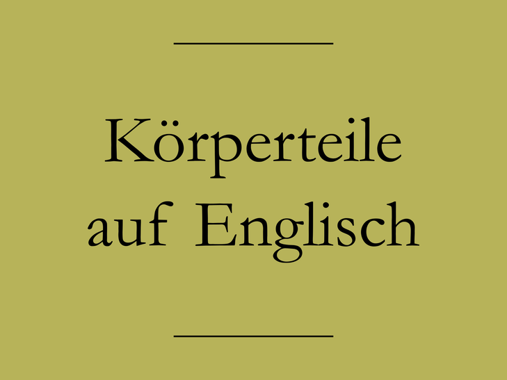 Englisch lernen: Körperteile. Hals, Bauch, Zunge, Oberschenkel. #englischlernen