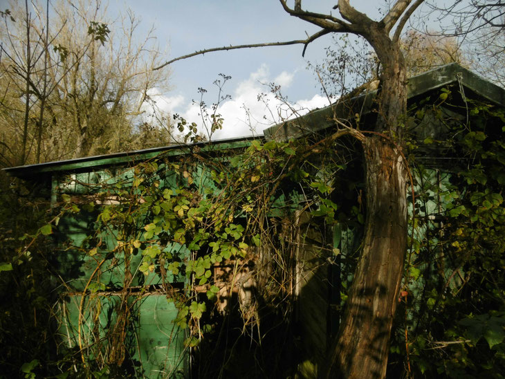 JC FAREY - Nouvel atelier jardin, Rivery (80) - Nov. 2025