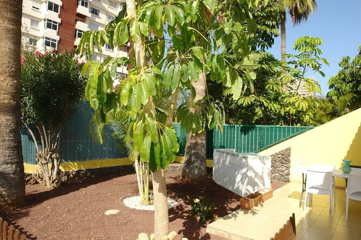 Blick 1.Terrasse mit Garten  