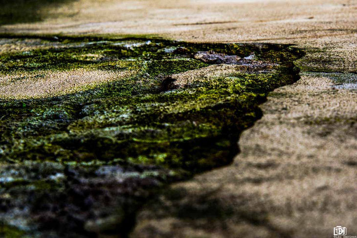 Paysages Muraux Paris 2017 Léo Derivot Photographe