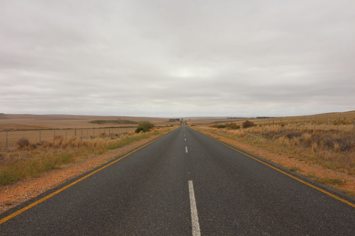Südafrika, Roadtrip, Auto, Afrika, Tiere,Gefahr, Weltreise, Straßen, Travel