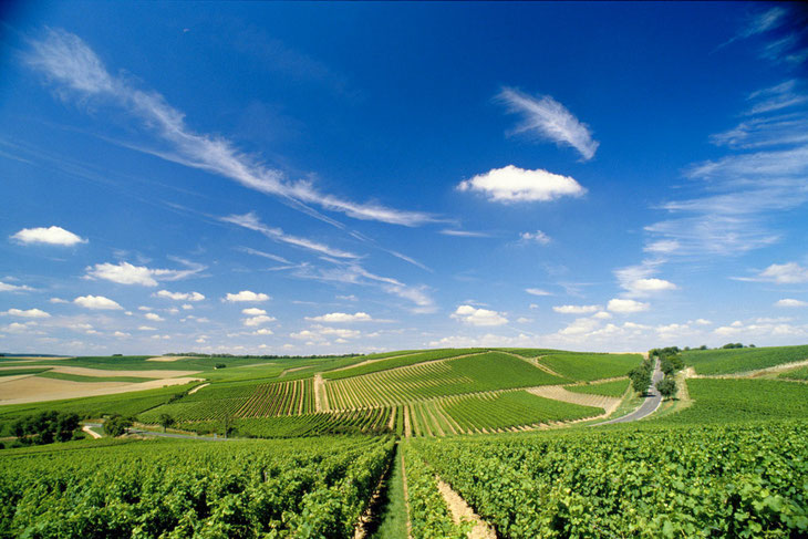 weinanbaugebiete-deutschland-entdecken