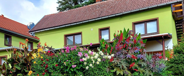 Das blühende Leben in Hermsdorf / Wilisch.