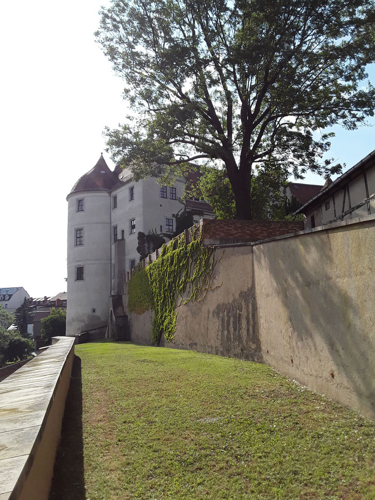 Lieblingsplatz: Hier war vielleicht mal der Küchengarten. 