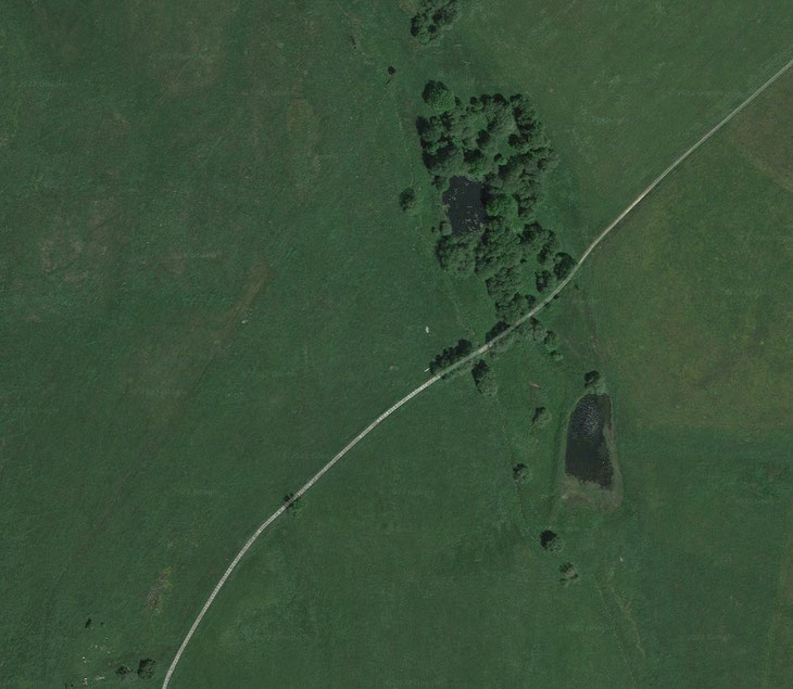 Die zwei Mühlteiche von Grünwald gibt es noch. Hier ein Satellitenbild von google.maps.