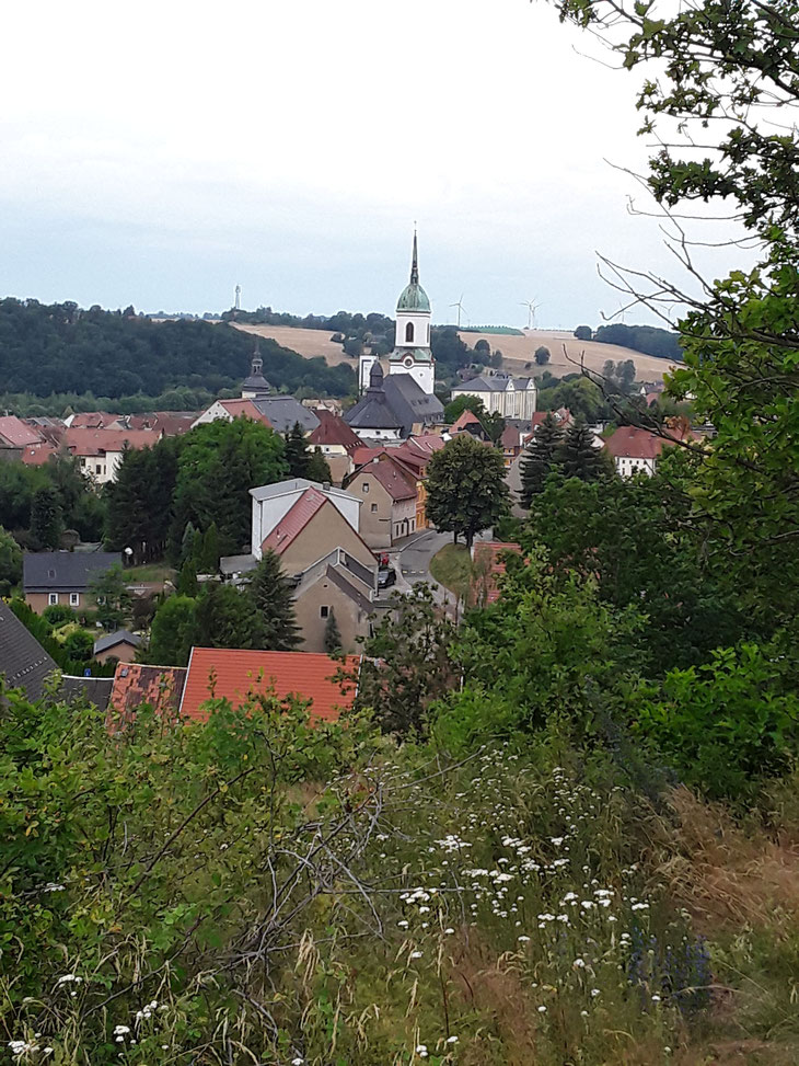 Blick von der Wunderburg über die Stadt Roßwein
