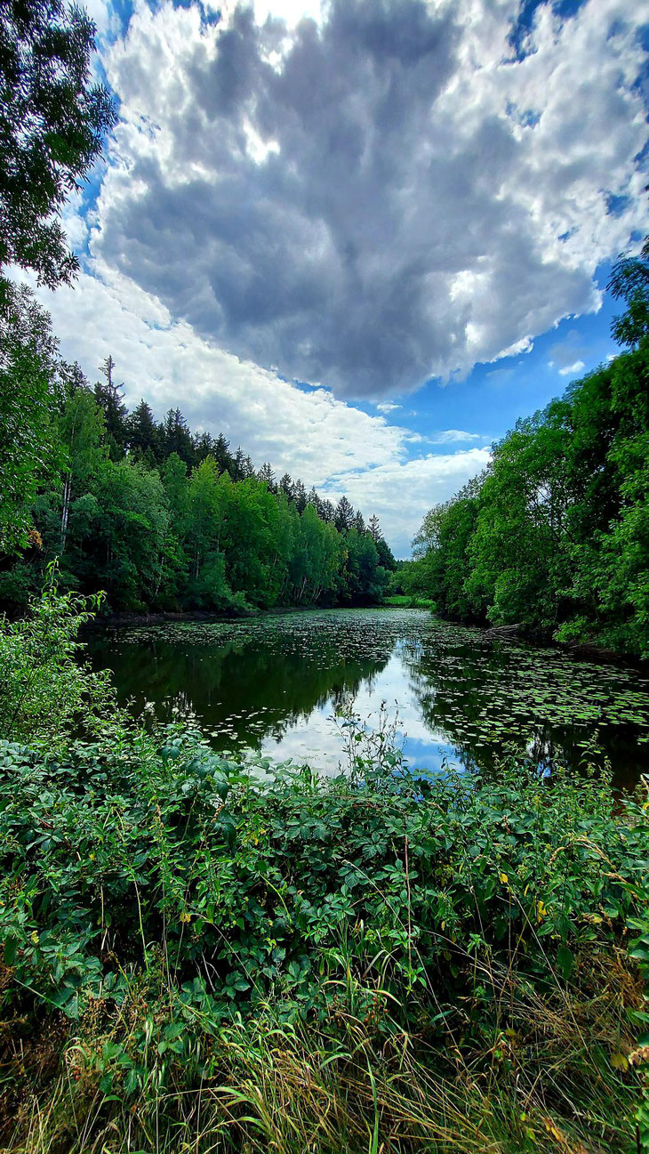 Der Kerbenteich von Berreuth, in der Nähe des Ortsteils Brettmühle im August 2022