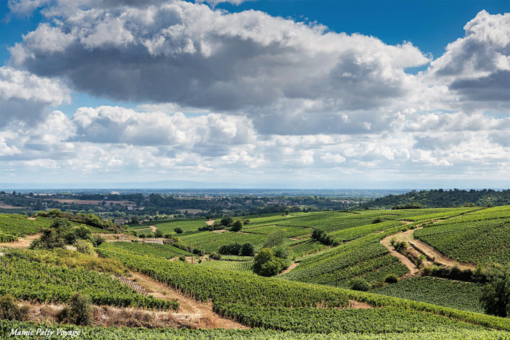 vignes de Pouilly-Fuissé, Bourgogne