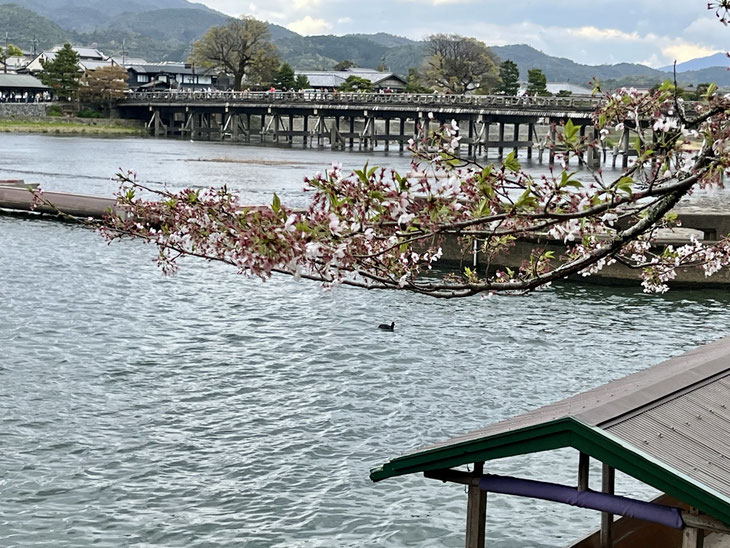 Arashiyama, photo by Azumi Uchitani
