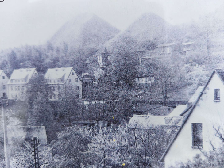 Blick von Buchholz zu den Halden von Schacht 116 (1986 / Foto von Infotafel vor Ort)