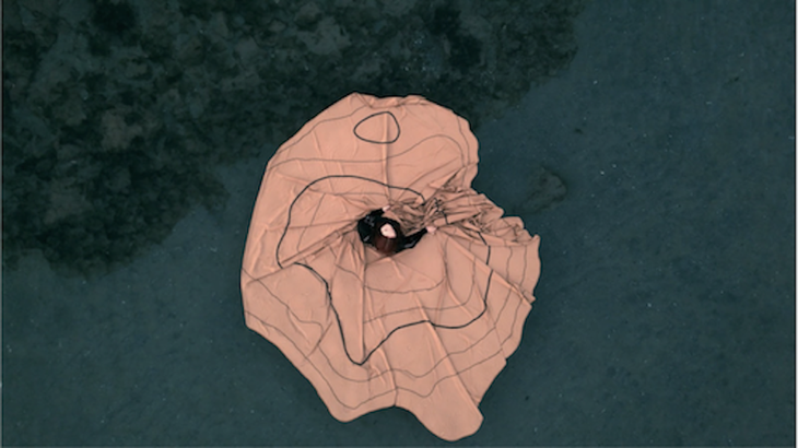 Video art installation view showing underwater sonar data and acoustic scores from the Black Sea by artists Anca Benera and Arnold Estefán at the Romanian Pavilion, Venice Biennale