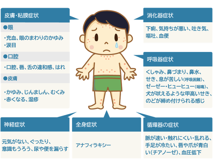 症状,アレルギー
