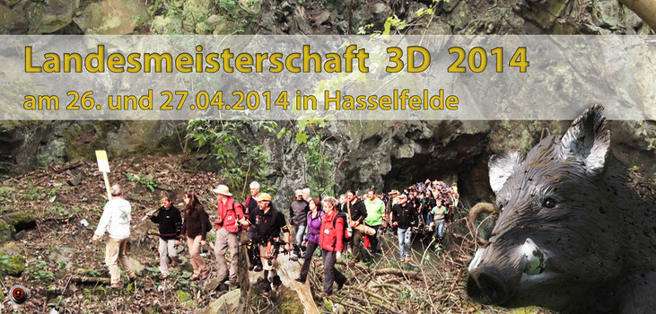 Fotomontage - LM 3D am 26./ 27.04.2014 in Hasselfelde